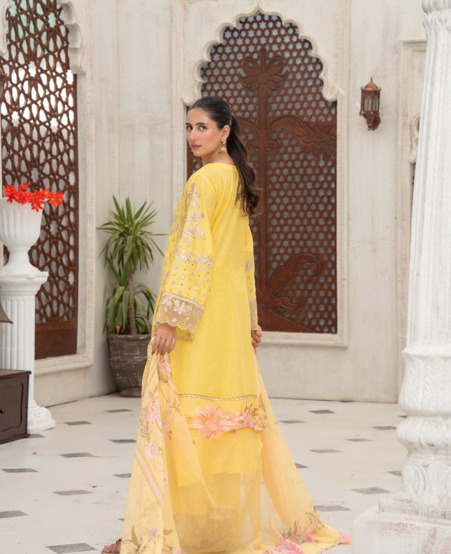 3 PIECE | ZAROON